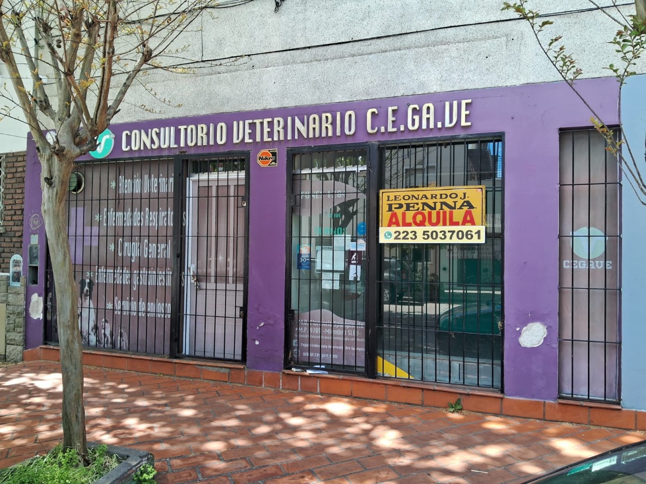 ALQUILER LOCALES COMERCIALES